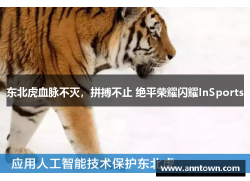 东北虎血脉不灭，拼搏不止 绝平荣耀闪耀InSports
